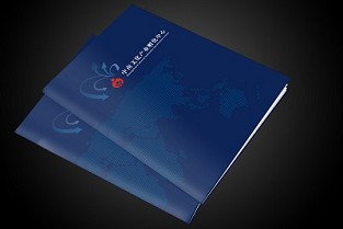 上海万科清林径 康城国际
